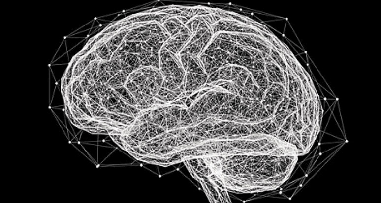 Lotus 1.2 Mini - Medical Mixture of Experts AI